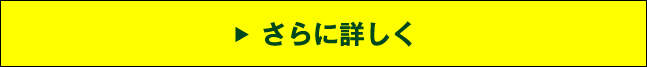 さらに詳しく